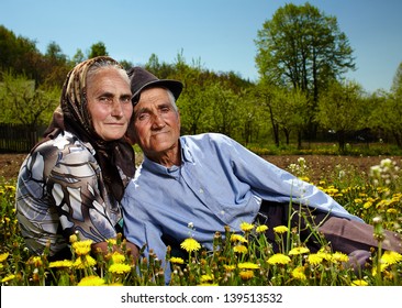 Portrait Of An Old Couple Sitting In A Dandelion Field