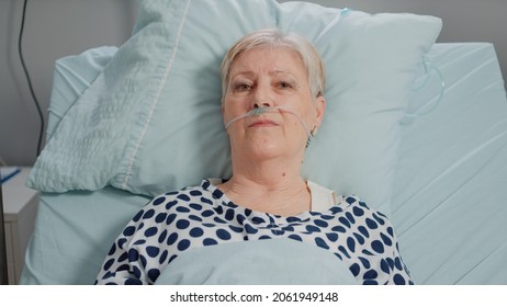 Portrait Of Old Patient With Disease Having Nasal Oxygen Tube While Laying In Bed. Close Up Of Senior Woman Looking At Camera And Receiving Healthcare Treatment In Hospital Ward.