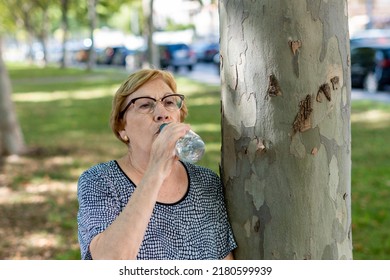 Portrait Older Woman Drinking Water From A Plastic Bottle, Leaning On A Tree. 