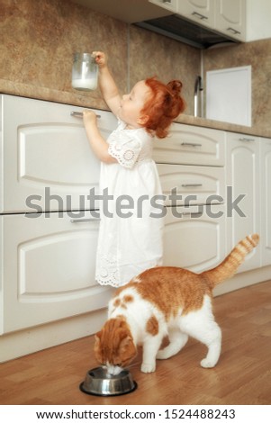
 Portrait of orange and white domestic kitty cat drinking milk from a glass bowl. little girl and her new kittens. Cute ginger kitten drinking milk on the floor isolated on white background. 