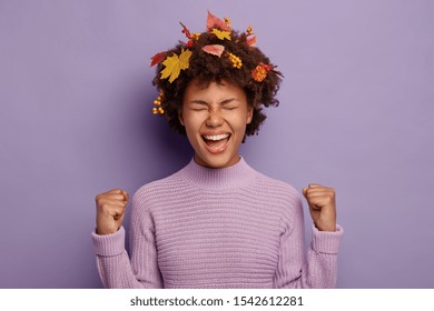 Portrait of overjoyed young Afro woman clenches fists with success, feels excited, has creative hairstyle decorated with autumnal foliage, wears warm jumper, isolated over purple background.