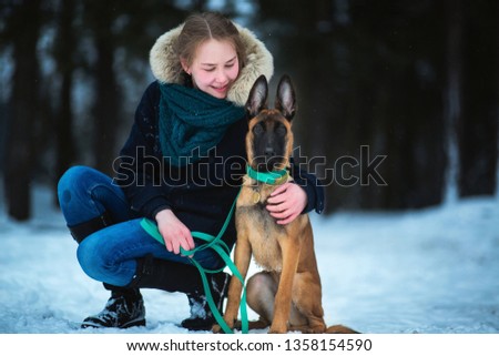 Portrait of an an owner and Shepherd - malinois dog, puppy 3 mounth old running and playing with an aowner on white snowing field in winter. Snowing. Winter forest background