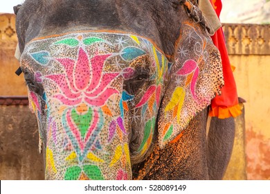 Portrait of painted elephant walking up to Amber Fort near Jaipur, Rajasthan, India. Elephant rides are popular tourist attraction in Amber Fort.