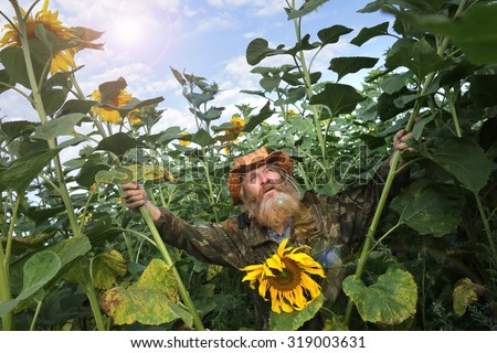 portrait of peasant in a field of sunflowers in summer day