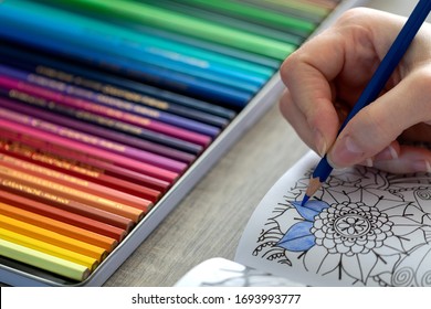 A Portrait Of A Person Holding A Blue Color Pencil In His Or Her Hand, While Coloring In A Coloring Book For Adults. In The Background There Is A Whole Case Full Of Colorful Pencils To Choose From.