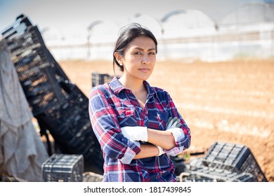 Portrait Of Peruvian Woman Farmer Standing With Arms Crossed On Farm Field On Sunny Day