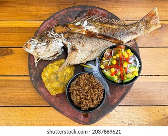 292 Seafood portrait photos Images, Stock Photos & Vectors | Shutterstock