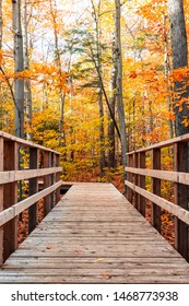 Portrait photo of a wooden boardwalk going through a forest with lots of leaves on the ground in autumn. Beautiful fall foliage. Shot in Mont Saint-Hilaire, Quebec, Canada. - Shutterstock ID 1468773938