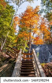 Portrait photo of a wooden boardwalk going through a peaceful, colorful forest. Beautiful fall foliage - yellow, orange, red. Shot in Mont-Tremblant, Quebec, Canada.  - Shutterstock ID 1469198294
