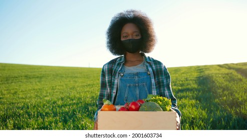 Portrait Of Positive African American Female Farmer With Vegetables Staying In Planting Or At The Field And Smiling To The Camera. Gardener, Agronomy And Agriculture Concept