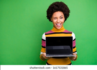 Portrait of positive afro american girl hold netbook show touch screen recommend digital modern technology wear casual style clothes isolated over green color background - Powered by Shutterstock