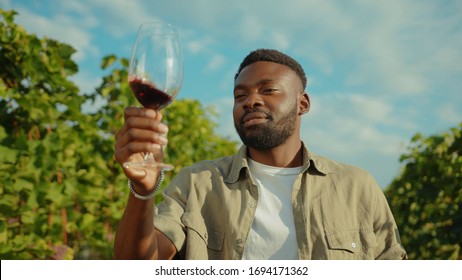 Portrait Of Positive Afro-american Sommelier Holding Glass Of Wine Controlling Color Feeling Proud Of Great Grape Harvest At Vineyard.