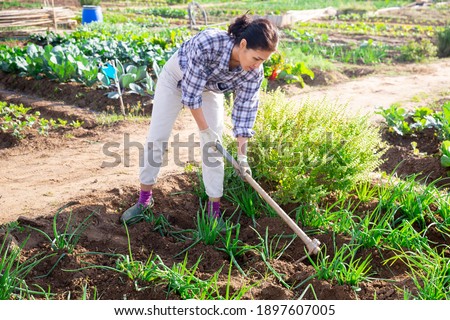 Portrait of positive asian female amateur gardener taking care of scallion plants in kitchen garden, weeding with hoe