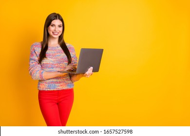 Portrait Of Positive Cool Girl Work On Computer Type Emails Search Social Network Information Wear Red Pants Trousers Isolated Over Shine Color Background