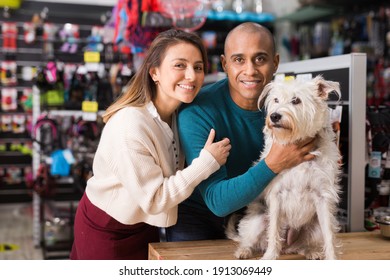 Portrait Of Positive Couple With Dog At Pet Shop