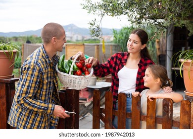 Portrait Of Positive Couple Of Gardeners With Daughter Standing In Garden Near Wooden Fence With Gathered Vegetables Talking About Rich Harvest