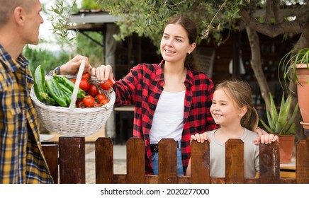 Portrait Of Positive Couple Of Gardeners With Daughter Standing In Garden Near Wooden Fence With Gathered Vegetables Talking About Rich Harvest