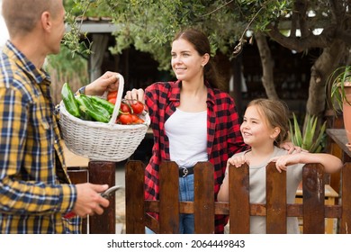 Portrait Of Positive Couple Of Gardeners With Daughter Standing In Garden Near Wooden Fence With Gathered Vegetables Talking About Rich Harvest