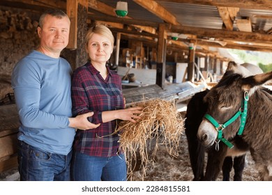 Portrait of positive family couple feeding donkeys on farm in sunny day - Powered by Shutterstock