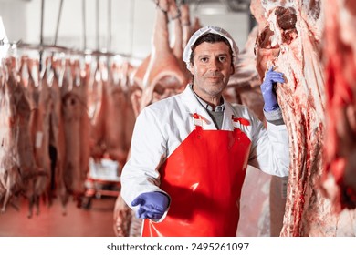 Portrait of positive successful adult butcher in white coat and red apron standing in cold storage room near hanging raw cow carcass - Powered by Shutterstock