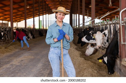 Portrait Of Positive Successful Asian Female Farmer Posing In Cowshed At The Cow Farm