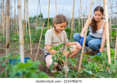 Portrait Of Positive Woman With Child Girl Working Together At Allotment, Digging Soil