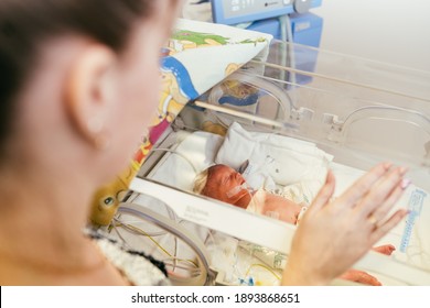 Portrait of Premature newborn baby sleeping in incubator , ICu. Unrecognizable mother looking on her child in hospital.