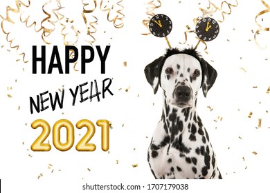 Portrait Of A Pretty Dalmatian Dog Wearing A New Year Diadem On A White Background With Golden Party Garlands And Text Happy New Year 2021