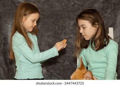 Portrait of pretty girls with Red bearded Agama iguana and with corgi dog on gray background. Two small children playing with pets. Selective focus. High quality photo