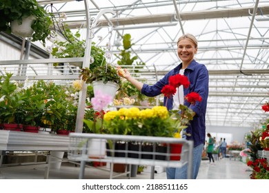 Portrait Of A Pretty Mature Woman With A Shopping Cart Who Buys Flowers In A Greenhouse