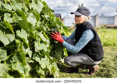 Portrait Of Pretty Young Farmer Woman Outdoor