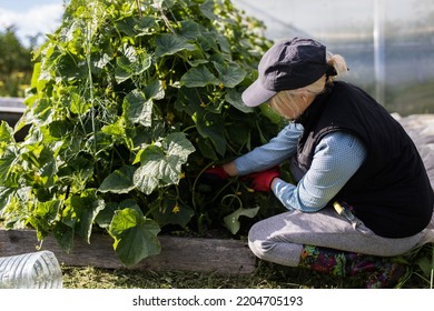 Portrait Of Pretty Young Farmer Woman Outdoor