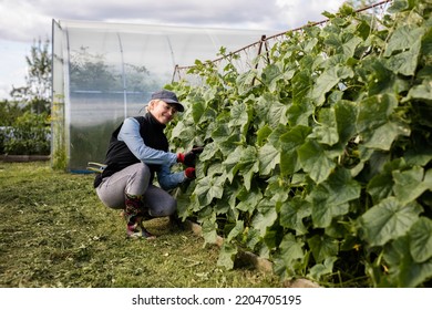 Portrait Of Pretty Young Farmer Woman Outdoor