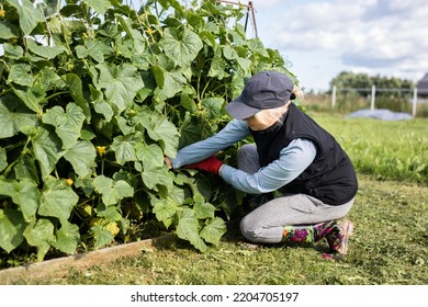 Portrait Of Pretty Young Farmer Woman Outdoor