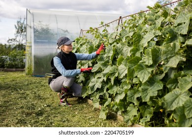 Portrait Of Pretty Young Farmer Woman Outdoor