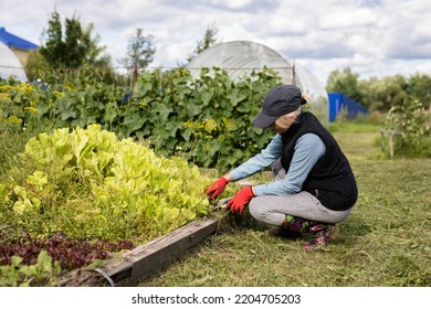 Portrait Of Pretty Young Farmer Woman Outdoor