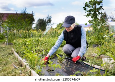 Portrait Of Pretty Young Farmer Woman Outdoor