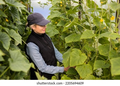 Portrait Of Pretty Young Farmer Woman Outdoor