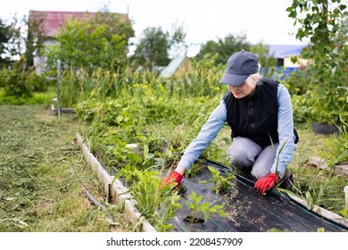 Portrait Of Pretty Young Farmer Woman Outdoor