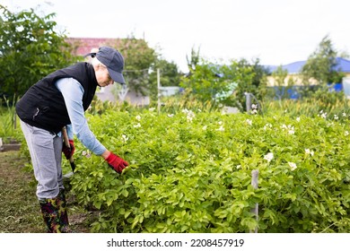 Portrait Of Pretty Young Farmer Woman Outdoor