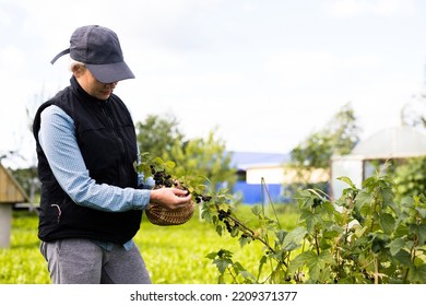 Portrait Of Pretty Young Farmer Woman Outdoor