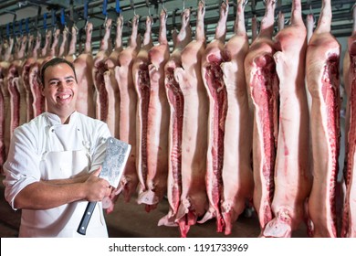 Portrait of professional butcher in factory cold storage holding meat chopper with pig carcass in the background. Butchery food production.