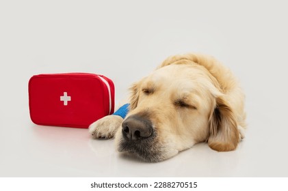 Portrait puppy dog injured o ill next to a first aids box. Isolated on white background - Powered by Shutterstock