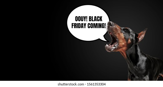Portrait of purebred dog with speech bubble on black background. Copyspace for your advertising. Black friday, cyber monday, sales, money and cash, online purchases and payments. Loud calling.