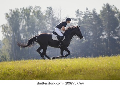 Portrait Of Rider Man And Black Stallion Horse Galloping During Eventing Cross Country Competition In Summer