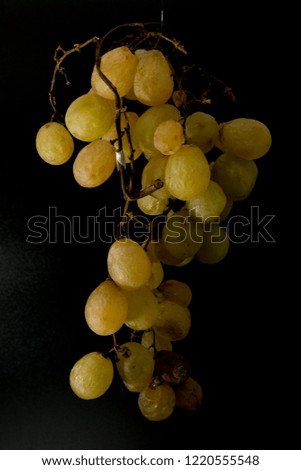 portrait of ripe white grapes