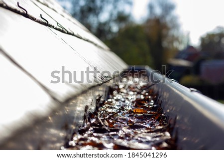 A portrait of a roof gutter clogged by many fallen fall leaves hanging from a slate roof. This is a typical annual chore during or after autumn to clean the gutter.
