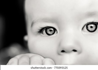 Portrait Of A Sad Concentrated Baby In Black And White. Baby's Beautiful Eyes Close Up. Children, Babies, People, Health Care, Psychology, Curiosity, Sadness, Feelings Concepts