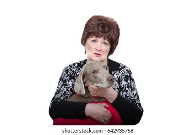 Portrait Of Sad Senior Woman Holds Sick Weimaraner Dog In Her Arms. Her Eyes Are Full Of Tears Because The Pet Does Not Feel Well. Woman Looks At The Camera. Horizontal Mid Shot On White Background