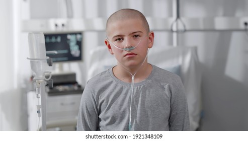 Portrait Of Sad Suffering Teen Boy Fighting With Cancer. Bald Kid Patient With Nasal Oxygen Tube Looking At Camera Sitting In Bed At Hospital Ward. Healthcare Concept